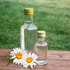 Chamomile Hydrosol