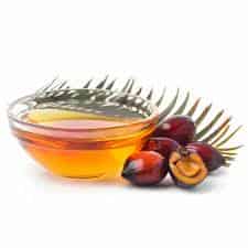 Palm Kernel Oil (HP)