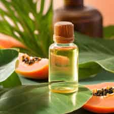 Papaya Oil