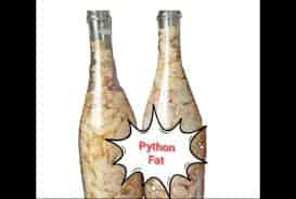 Python Fat
