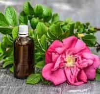 Rose Extract Oil