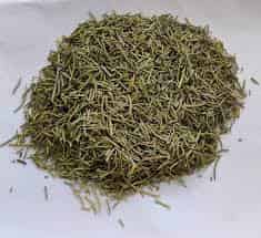 Rosemary Leaves
