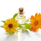 Sunflower Oil